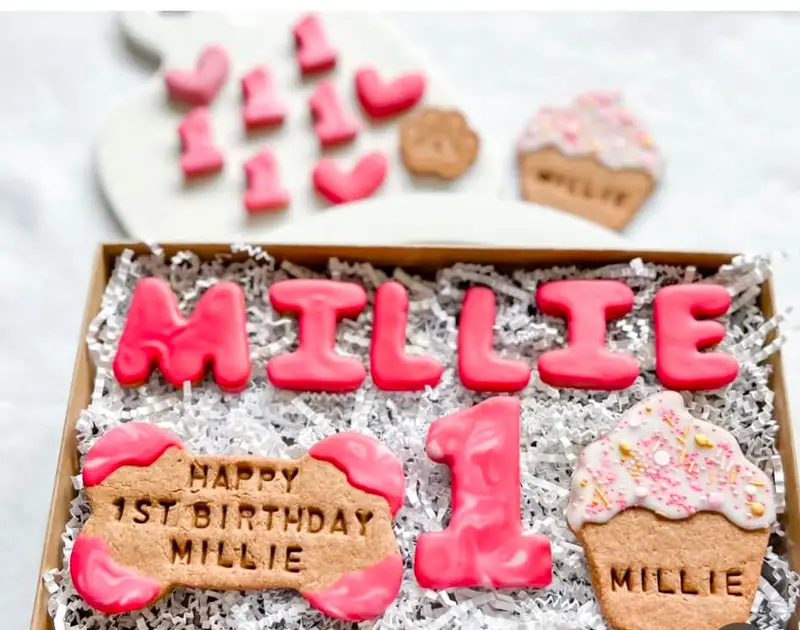 MILLIE first-birthday box with iced name cookies and a sprinkle pupcake